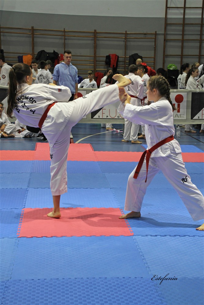 Copa Seul 2018 (386).jpg